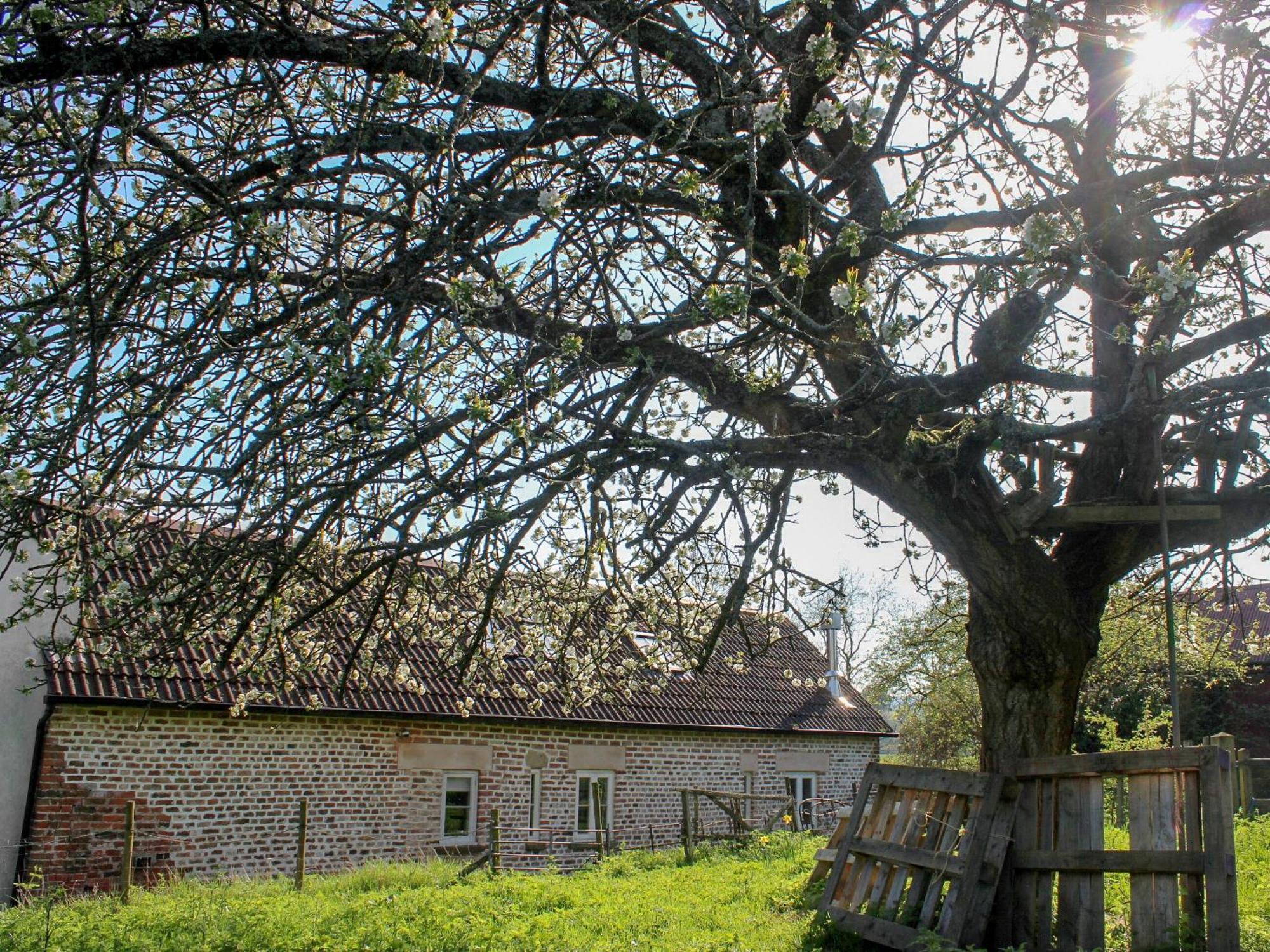 The Cider Barn * Flaxley