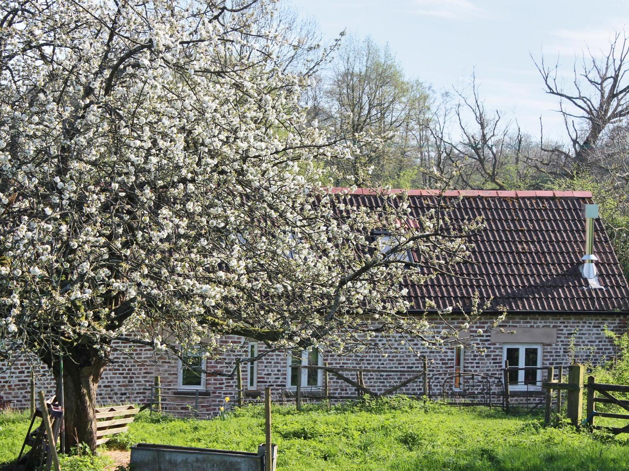 The Cider Barn